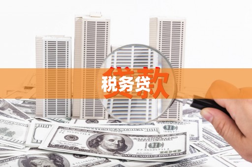 滦县税务贷