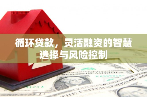 滦县循环贷款，灵活融资的智慧选择与风险控制