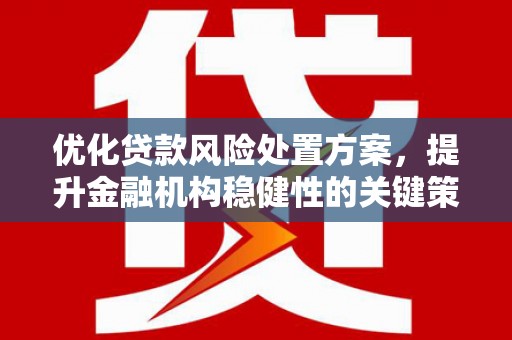 滦县优化贷款风险处置方案，提升金融机构稳健性的关键策略
