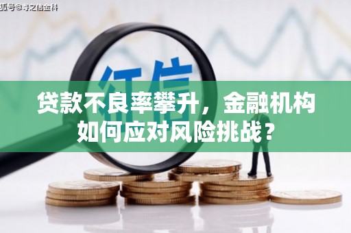 滦县贷款不良率攀升，金融机构如何应对风险挑战？