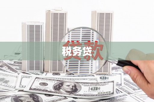 滦县税务贷