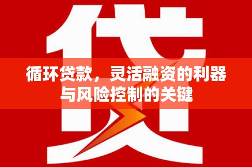 滦县循环贷款，灵活融资的利器与风险控制的关键