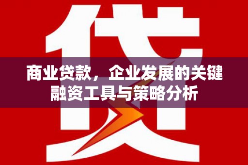 滦县商业贷款，企业发展的关键融资工具与策略分析