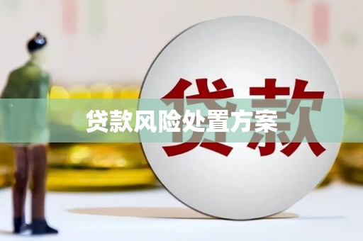 滦县贷款风险处置方案