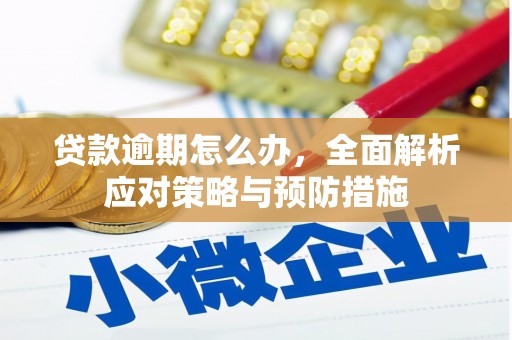 滦县贷款逾期怎么办，全面解析应对策略与预防措施
