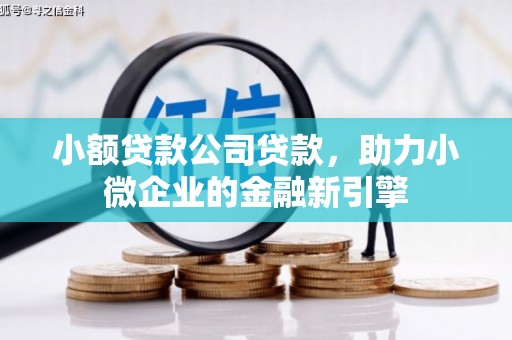 滦县小额贷款公司贷款，助力小微企业的金融新引擎