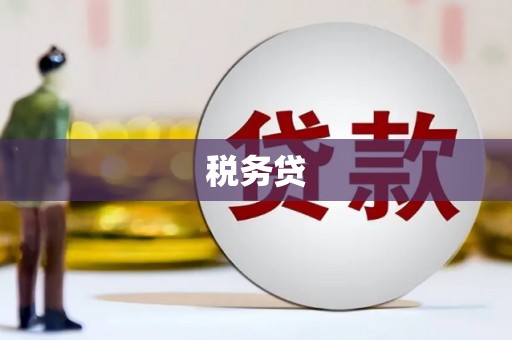 滦县税务贷