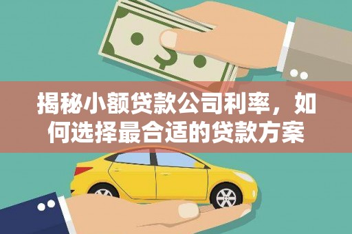 滦县揭秘小额贷款公司利率，如何选择最合适的贷款方案
