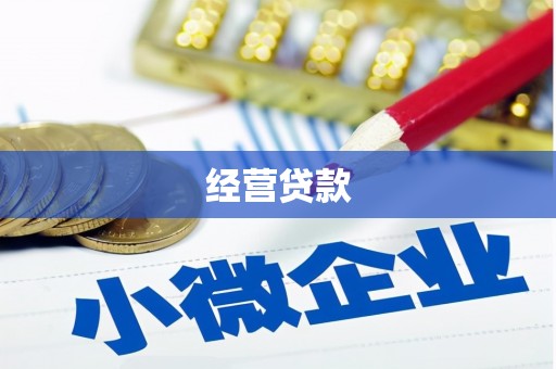 滦县经营贷款