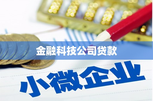滦县金融科技公司贷款