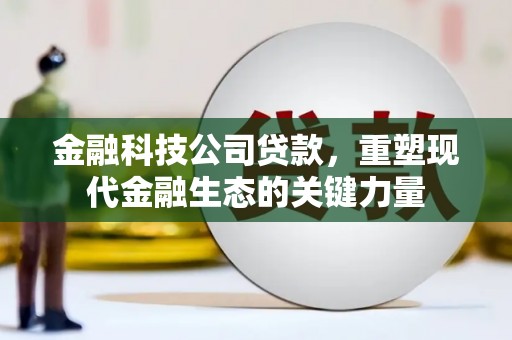 滦县金融科技公司贷款，重塑现代金融生态的关键力量