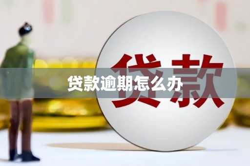 滦县贷款逾期怎么办