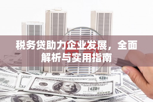 滦县税务贷助力企业发展，全面解析与实用指南