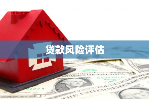 滦县贷款风险评估