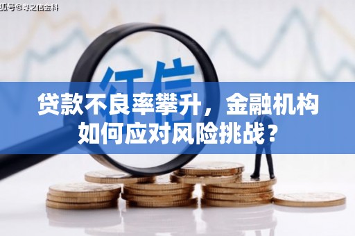滦县贷款不良率攀升，金融机构如何应对风险挑战？