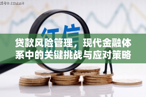 滦县贷款风险管理，现代金融体系中的关键挑战与应对策略